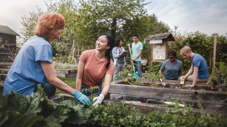 Championing healthier communities