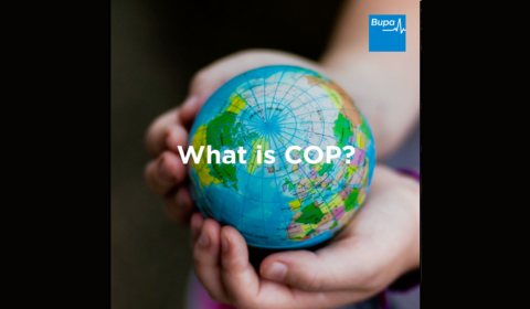 What is COP?