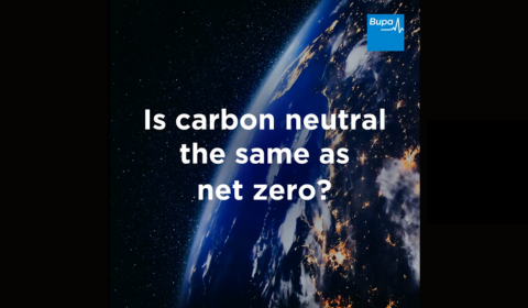 Is carbon neutral the same as net zero?