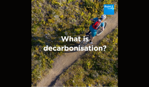 What is decarbonisation?