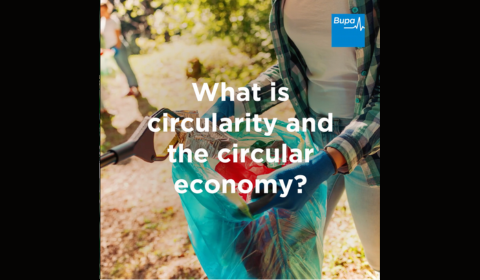 What is circularity and the circular economy?