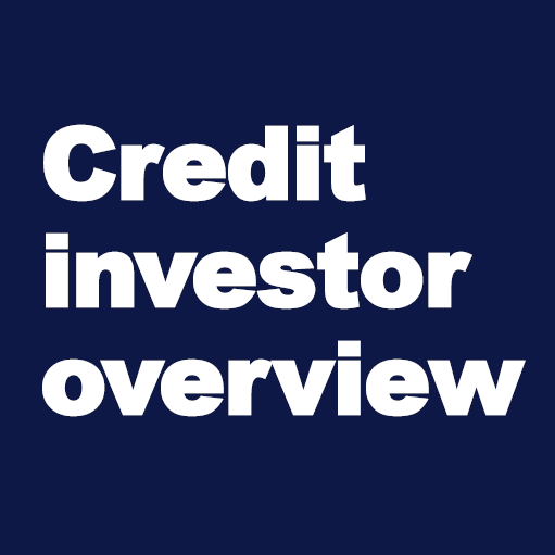 Credit investor overview